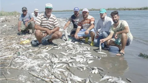TARSUSLU BALIKÇILAR ÜZGÜN