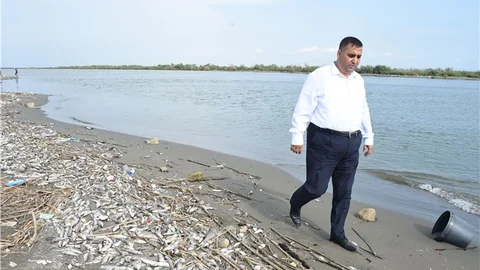 Başkan Can, Balık Ölümlerinin Yaşandığı Yerde İncelemelerde Bulundu