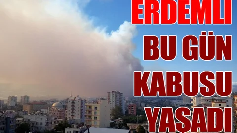 Mersin’de korkutan orman yangını