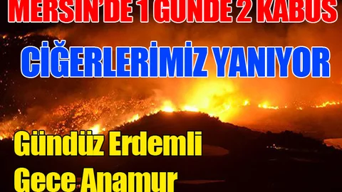 Anamur'da orman yangını