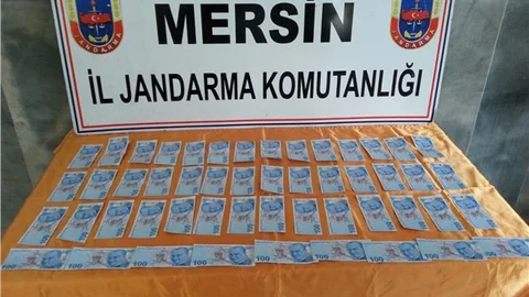 Mersin Jandarmasından Sahte Para Operasyonu!