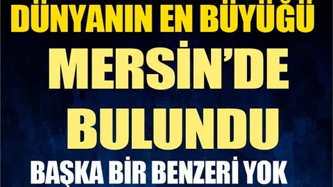 Mersin'de 3200 yıllık tersane bulundu