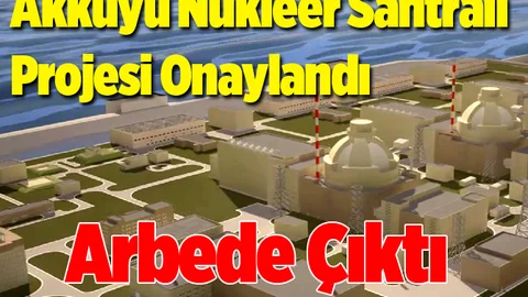 Akkuyu Nükleer Santrali Projesi Oy Çokluğuyla Onaylandı