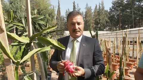 “Ejder Meyvesinin, Türk Pazarında Yerini Alması İçin Destek Vermeye Hazırız”