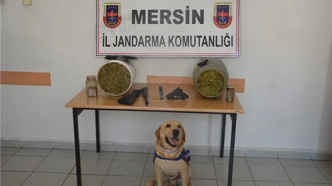 Anamur Ovabaşı'nda 6.400 gram Esrar Maddesi Yakalandı