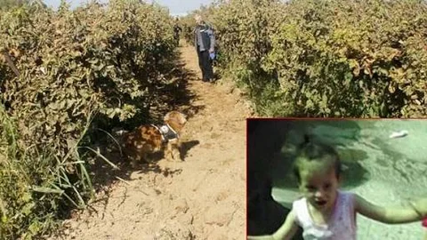 Küçük Irmak'ın Cansız Bedeni Bulundu!