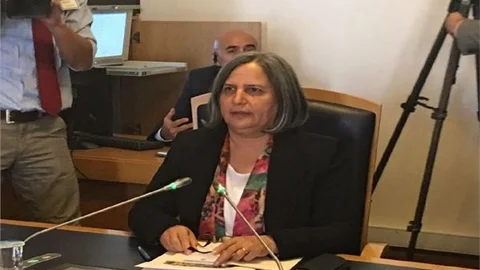 FETÖ'yü ve Darbe Girişimini Araştırma Komisyonu Gülten Kışanak'ı Dinledi