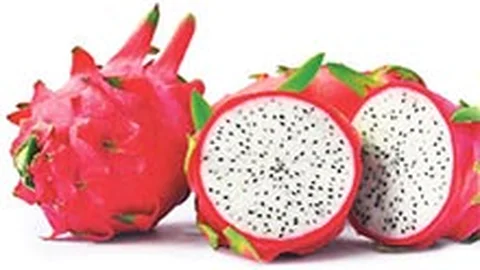 Mersin'de Ejder Meyvesi Mucize Yarattı