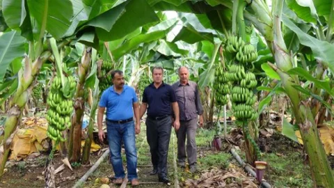 Mersin'de Kök Kanserine Karşı Ürettiği İlaçla Tüm Üreticilerin İlgi Odağı Oldu