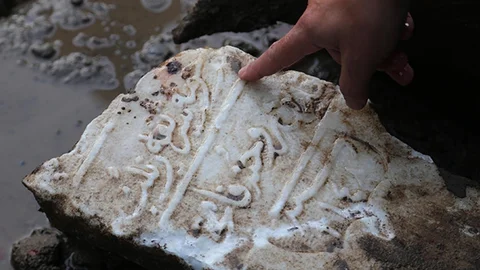 Belediye Kazısında 300 Yıllık Mezar Ortaya Çıktı