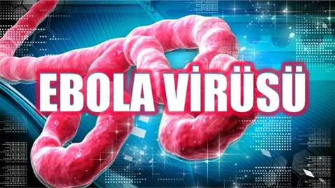 11 Bin Kişiyi Öldüren Ebola Virüsünden Korkutan Gelişme!