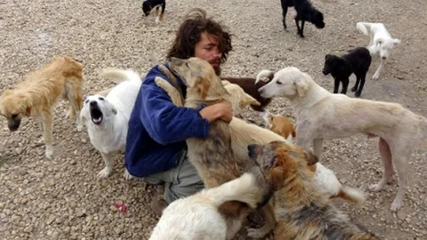 Barınaktaki Sahipsiz Sokak Hayvanlarının Üzerine Ateş Açtı 