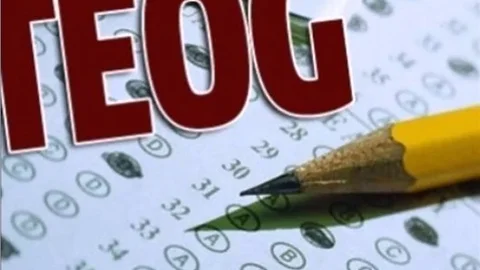 2016 2017 TEOG Sınavı