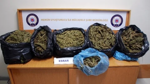 Mersin'de Uyuşturucu Operasyonu