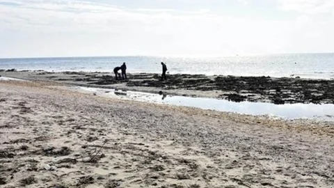 Marmara'da Deniz Suyu 15 Metre Geri Çekildi