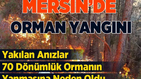 Mersin'de 70 Dönümlük Orman Kül Oldu