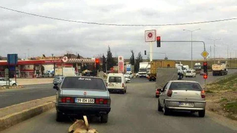 Köpeği Arabaya Bağlayıp Metrelerce Sürükledi 