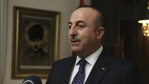 Dışişleri Bakanı Çavuşoğlu: AP Kararının Hiçbir Önemi Yok