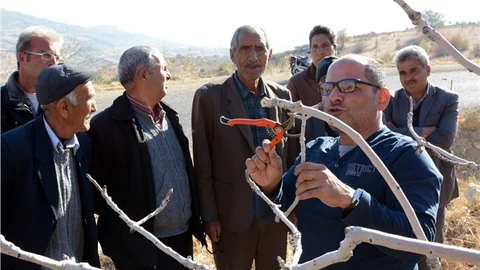 MERSİNLİ ÇİFTÇİYE ANTEP FISTIĞININ PÜF NOKTALARINI ANTEPLİLER ANLATTI