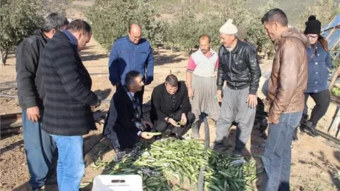 SERDAL KUYUCUOĞLU SİLİFKE'Yİ ZİYARET ETTİ