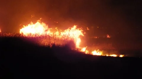 Mersin Göksu Deltası'nda Yangın