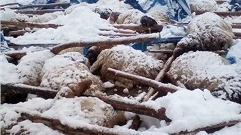 Mersin'de Kardan Dolayı 2 Çatı Çöktü