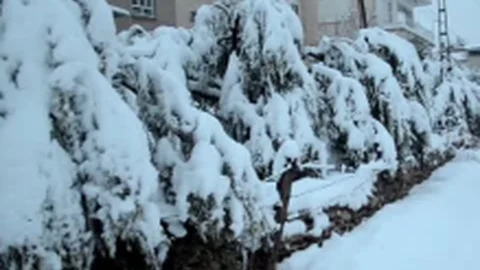 Mersin'in İki İlçesinde Tüm Okullar Kardan Dolayı Tatil Edildi