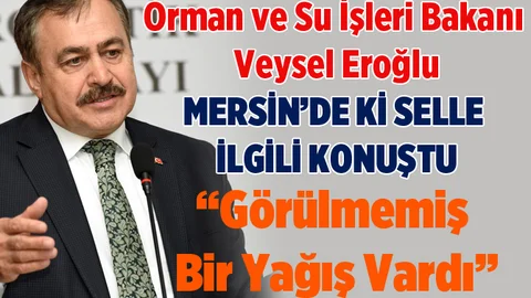 Bakan Eroğlu Mersin'deki Sel Felaketiyle İlgili Açıklama Yaptı