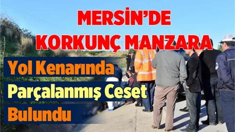 Mersin'de Otoyolda Ceset Bulundu