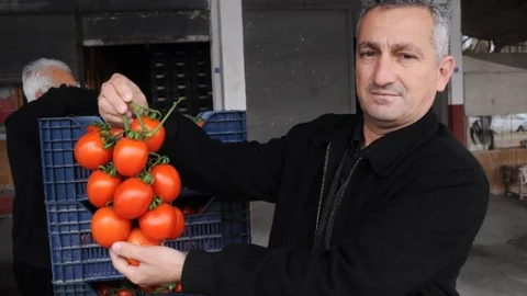 Kötü Hava Koşullarından Dolayı Domates Fiyatı Yüzde Yüz Arttı