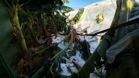 Mersin'de Hortum Bozyazı İlçesini Yıktı Geçti