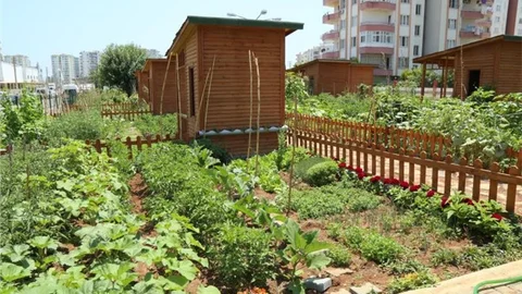 TECE’YE HOBİ BAHÇESİ YAPILDI