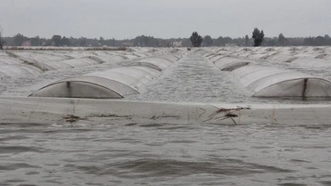 Mersin'de Sel Mağdurları Yardım Eli Bekliyor