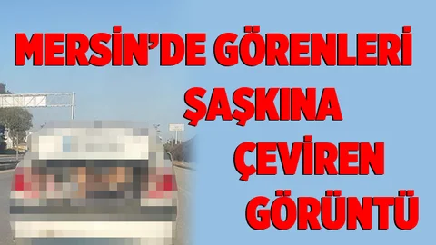 Mersin’de Görenleri Şaşkına Çeviren Görüntü