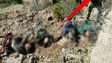 Teröristlerin fotoğrafını paylaşan asker hakkında soruşturma