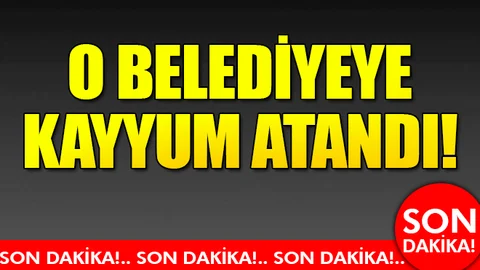 Şırnak'ın Uludere Belediyesi'ne kayyum atandı