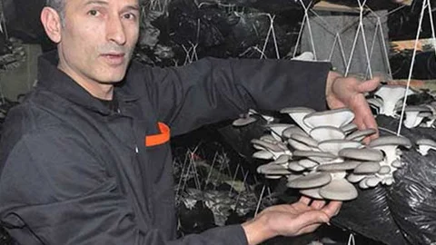 Son Umut Diye Bir İşe Giriştiler! Zengin Oldular