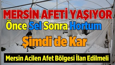 Mersin'de Çiftçileri Şimdi de Kar Vurdu