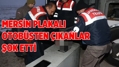 Mersin Plakalı Otobüsten Çıkanlar Şok Etti