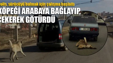 Köpeği arabanın arkasına bağlayıp çektiler