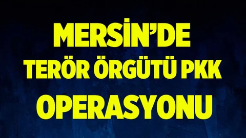 Mersin'de Terör Operasyonu