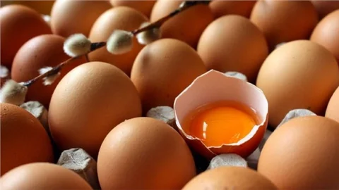 DOĞAL YUMURTA ALDATMACASI...