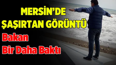 Mersin Erdemli Sahili 3 Boyutlu Resimlerle Renkleniyor