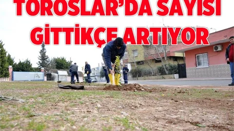 Toroslar'da Yeşil Alanlar Her Geçen Yıl Artıyor