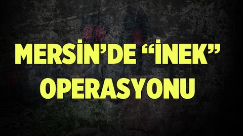 Mersin'de İtfaiye Uçuruma Düşen İneğin Kurtarmak için Seferber Oldu