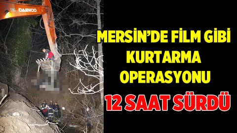 Mersin'de Hamile İneği Kurtarma Operasyonu 12 Saat Sürdü