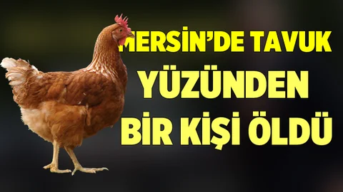 Mersin'de Tavuk Kavgasında Bir Kişi Öldü