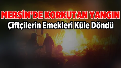 Mersin'deki Yangınında 12 Dönüm Seralık Alan Zarar Gördü
