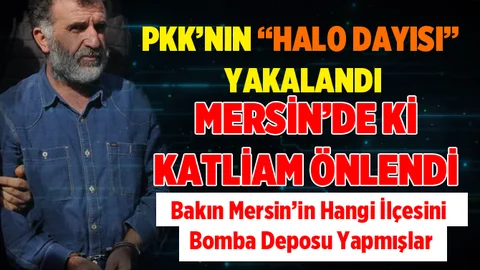PKK'nın Halo Dayısı 5 Şehidin Faili Çıktı