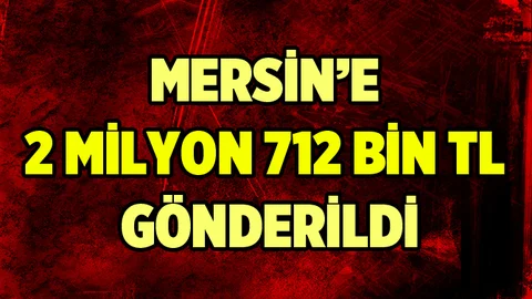 Tarsus'a AFAD'tan 2 Milyon TL Ödenek Gönderildi